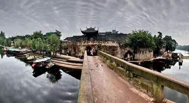 救援受困的火鸡
